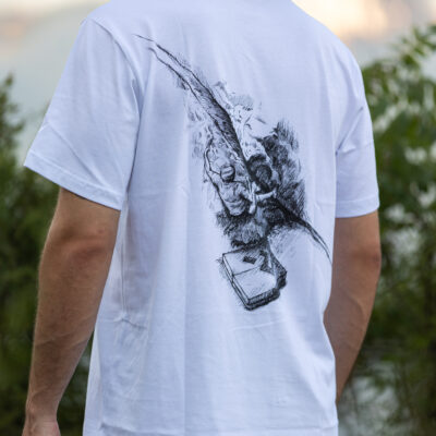 SHIRTS V2